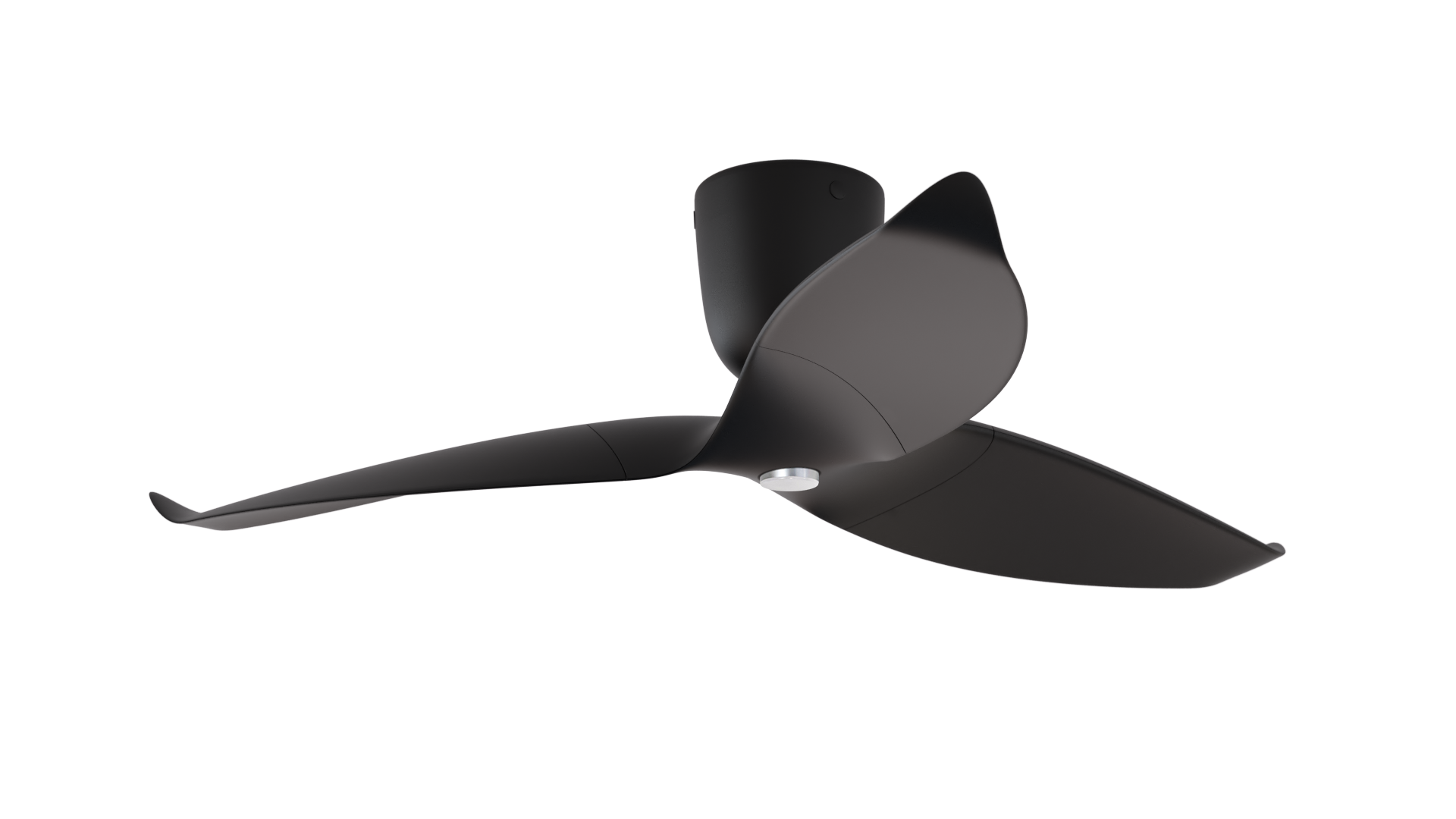 Aeratron AE+3 avec lumière, finition bois foncé / noir